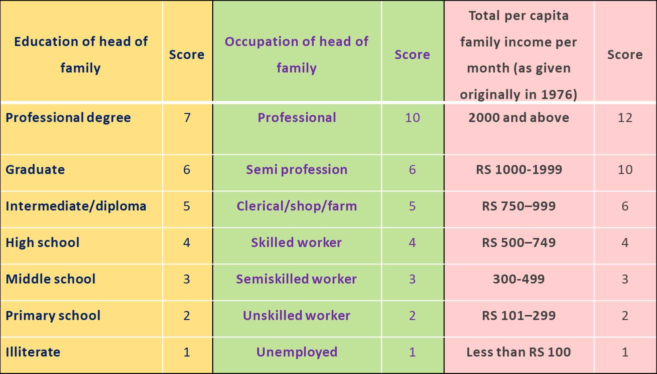 questionnaire on socio economic status in india